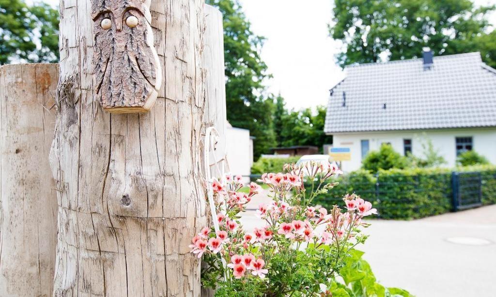 Sonnenblumenhaus 01 Prerow Exterior foto
